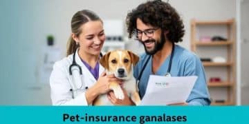 Pet insurance trends shaping the future of caring for pets