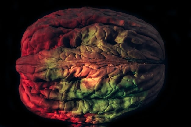 A close-up shot of brain scans highlighting the prefrontal cortex and amygdala, illustrating how meditation affects brain activity and strengthens areas associated with focus and reduces activity in the brain's fear center.