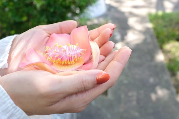 A close-up of hands gently holding a lotus flower during a mindful meditation session, symbolizing peace and tranquility.