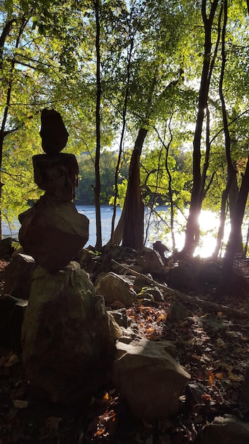Declutter Your Mind: 5 Simple Strategies for Clarity