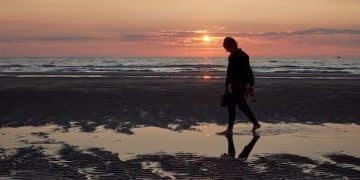 Mindful Walking: Transform Your Walk into Meditation - Cover Image