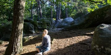 Mindfulness and Nature: Reconnect for Well-being in the Natural World - Cover Image