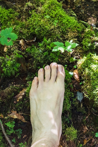 A close-up of bare feet walking on a mossy forest floor, with sunlight filtering through the trees. The focus is on the sensory experience of connecting with the earth.