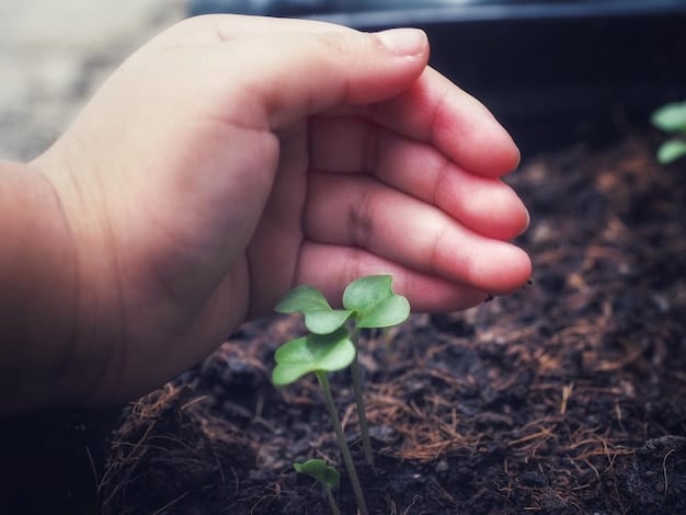 A close-up shot of hands gently cupping a seedling, symbolizing growth, nurturing, and a fresh start. The background is blurred, emphasizing the delicate nature of the plant and the care it receives.