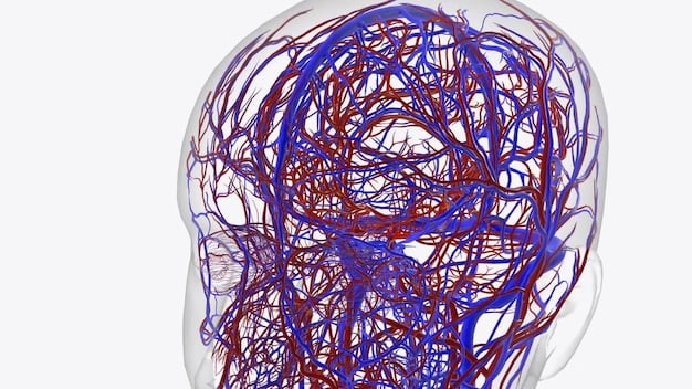 A detailed illustration of the vagus nerve connecting the gut to the brain, highlighting the bidirectional communication pathways.