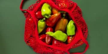 Healthy Eating, Tight Budget: Smart Grocery Shopping Tips - Cover Image