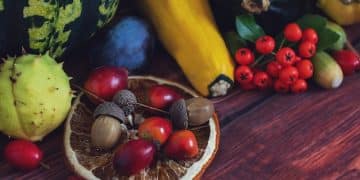 Boost Your Health: The Latest on Antioxidant-Rich Foods - Cover Image