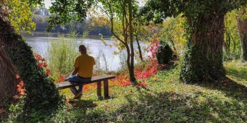 Combatting Workplace Stress: Strategies for Work-Life Balance in the US - Cover Image