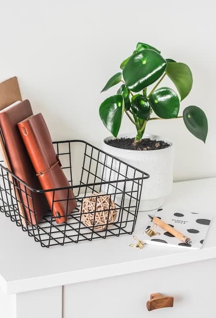 A close-up of an organized desk with minimal items, featuring file organizers, a clean monitor, and a small potted plant, signifying efficient organization.